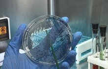 Фото 5: Ремонт, міжнародний сертифікат і команда професіоналів: у Другому медоб’єднанні оновили лабораторію