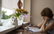 Фото 9: У Львові для переселенців та врятованих ними котів влаштували фотосесію