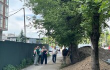 Фото 6: На вул. Липинського, 56 забудовника зобов’язали розчистити стовбури дерев і огородити їх