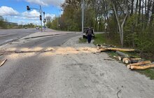 Фото 4: Через сильний вітер у Львові фіксують повалені дерева: комунальники працюють над ліквідацією наслідків