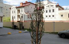 Фото 6: У Шевченківському районі Львова висадили 22 дерева