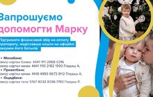 Фото 6: Львівські школи долучаться до збору коштів на лікування важкохворого хлопчика