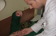 Фото 8: Під час Днів профілактики і раннього виявлення глаукоми медики виміряли внутрішньоочний тиск майже 6700 особам