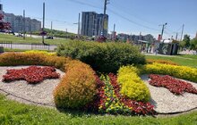 Фото 7: Сихів у квітах: на території району облаштовують квіткові композиції