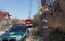 Фото 1: Два підпали у парку «Знесіння» за минулу добу: пошкоджено близько 4 га заповідної зони