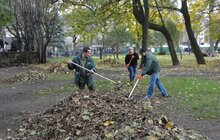 Фото 5: «Львівська пивоварня» прибрала парк ім. І. Франка