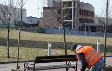 Фото 8: На Сихові висаджують 20 нових дерев, план міста на цей рік — не менше 10 тис зелених насаджень
