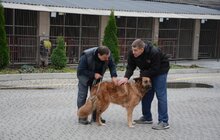 Фото 1: Відтепер в ЛКП «Лев» можна отримати сертифікат для виїзду з твариною за кордон