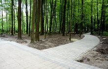 Фото 11: На Сихові розпочали роботи з облаштування парку духовної культури