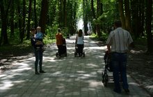 Фото 27: На Сихові розпочали роботи з облаштування парку духовної культури