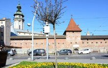 Фото 4: У районах Львова продовжують висаджувати квіткові композиції