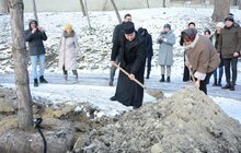 Фото 16: На Меморіалі пам’яті Героїв Небесної Сотні висадили сосни