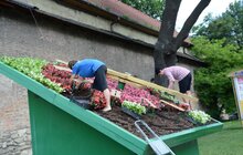 Фото 4: У Львові висадили квіти