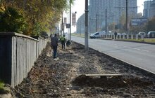 Фото 13: На вул. Княгині Ольги розпочали роботи з будівництва велосипедної доріжки та хідників