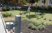 Фото 3: ЛМКП «Львівводоканал» завершило встановлення ще трьох питних фонтанів