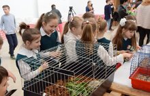 Фото 27: Сьогодні відбулося відкриття Дитячого Форуму