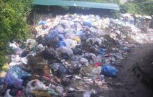 Фото 36: У Львові на кінець дня переповненими є 285 майданчиків у 4 районах міста