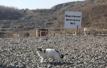 Фото 8: На полігоні ТПВ у с. Великі Грибовичі реалізовують масштабні проекти: цього року планують розпочати загальну рекультивацію полігону