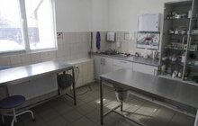 Фото 17: На початку травня у Львові відкриють Центр адопції безпритульних тварин