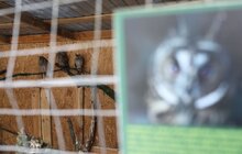 Фото 25: У мерії розглядають можливості комплексного розвитку парку «Знесіння» і Домівки врятованих тварин