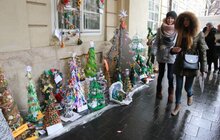 Фото 1: Загальноміська акція «Збережемо життя ялинці»