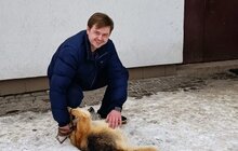 Фото 13: Понад 20 тварин із ЛКП «Лев» знайшли дім у лютому