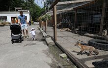 Фото 8: «Ми хочемо збудувати ще один еколого-натуралістичний центр в частині Снопківського парку», — А. Садовий