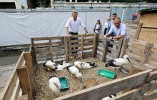 Фото 15: «Ми хочемо збудувати ще один еколого-натуралістичний центр в частині Снопківського парку», — А. Садовий