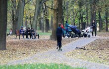 Фото 37: У Львові комплексно ремонтують парки: роботи тривають на низці об'єктів