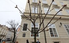 Фото 3: Мер Львова та тимчасово повірена у справах США в Україні спільно висадили на пл. Ринок рожевоквітний каштан