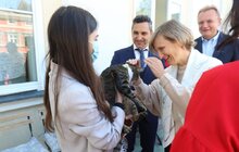 Фото 8: Мер Андрій Садовий зустрівся з бельгійськими лікарями, які тиждень проводитимуть безкоштовні мікрохірургічні операції на вусі у дітей