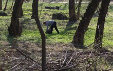 Фото 7: Сьогодні Львів прибирають в рамках акції «З нами місто розквітає»