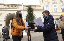 Фото 6: В рамках міжнародного проєкту «Озеленення планети» на площі Соборній висадили перші дерева