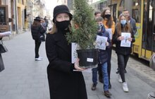 Фото 8: В рамках міжнародного проєкту «Озеленення планети» на площі Соборній висадили перші дерева