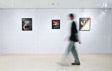 Фото 5: У Львові відкрилась перша в світі виставка зірки дизайну Стефана Загмайстера (відео)