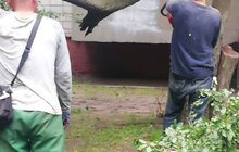 Фото 27: «До прибирання міста було задіяно сьогодні 1694 працівники комунальних підприємств і 72 одиниці техніки», - І. Маруняк