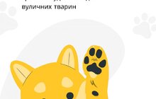 Фото 2: Дітей у Львові заохочують до волонтерства завдяки челенджу