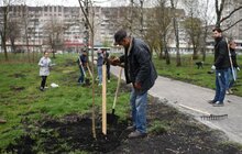 Фото 1: У Львові триває загальноміське прибирання міста в рамках акції «З нами місто розквітає»