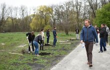 Фото 12: У Львові триває загальноміське прибирання міста в рамках акції «З нами місто розквітає»