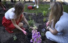 Фото 21: На площі Ринок стартував другий сезон Львівського фермерського ярмарку