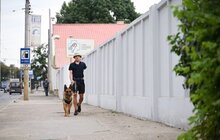 Фото 1: Ветеран без руки щодня вигулює 60 собак з ЛКП «Лев» (відео)