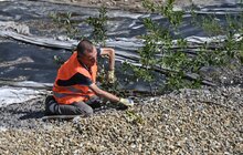Фото 2: До кінця року озеро на вул. Панча наповнять водою: роботи проводять за кошти інвестора (відео)