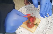 Фото 27: У Львові відбувся кулінарний конкурс для дітей з інвалідністю Cupid’s Spoon