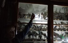 Фото 48: Міжнародний день музеїв у Львові відвідали майже 13 тисяч осіб