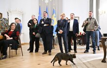 Фото 7: До Львова завітав віцепрезидент Європарламенту