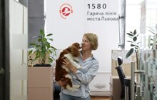 Фото 8: Візьми собаку на роботу: працівники мерії Львова прийшли на роботу із чотирилапими (відео)