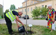 Фото 6: У Львові висадили тюльпанове дерево на честь 25-річчя візиту Папи Івана Павла ІІ