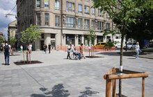 Фото 6: На площі Галицькій висадили нові дерева