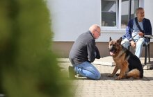Фото 10: ЛКП «Лев» стає міським центром із комплексної допомоги для безпритульних та домашніх тварин (фото/​відео)