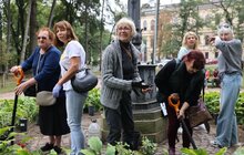 Фото 11: До Дня міста Бахмут його мешканці висадили у Львові троянди в пам'ять про свою домівку